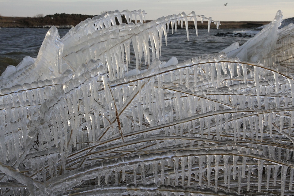 Enclosing dyke friesland shelf ice