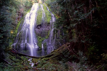 Willamette National Forest, Proxy Falls.jpg