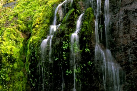 Mt Hood National Forest, spring, Salmon River.jpg photo