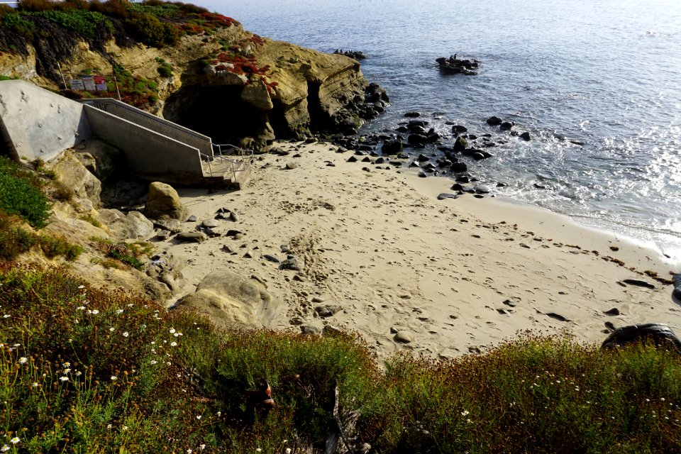 La Jolla Cove, CA (Unedited)