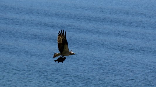 Bowman Bay Fidalgo Island