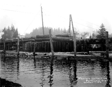 213 Dumping Logs at Toledo