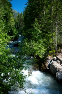 Grave Creek along the Pacific Northwest Trail