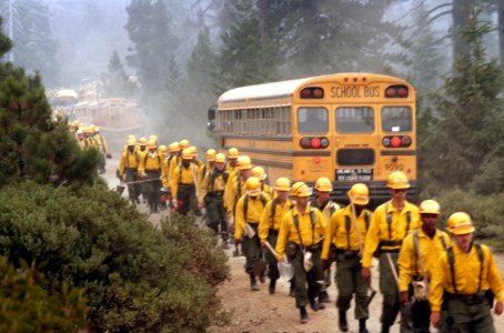 242 Rogue River Siskiyou National Forest, Longwood Fire