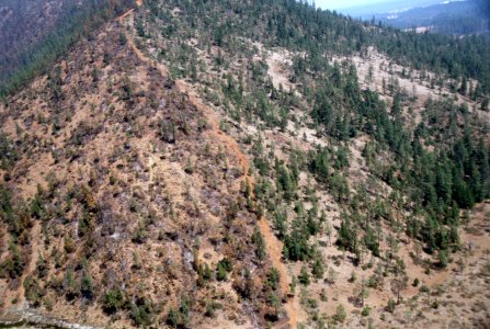 241 Rogue River-Siskiyou National Forest, Biscuit Fire photo