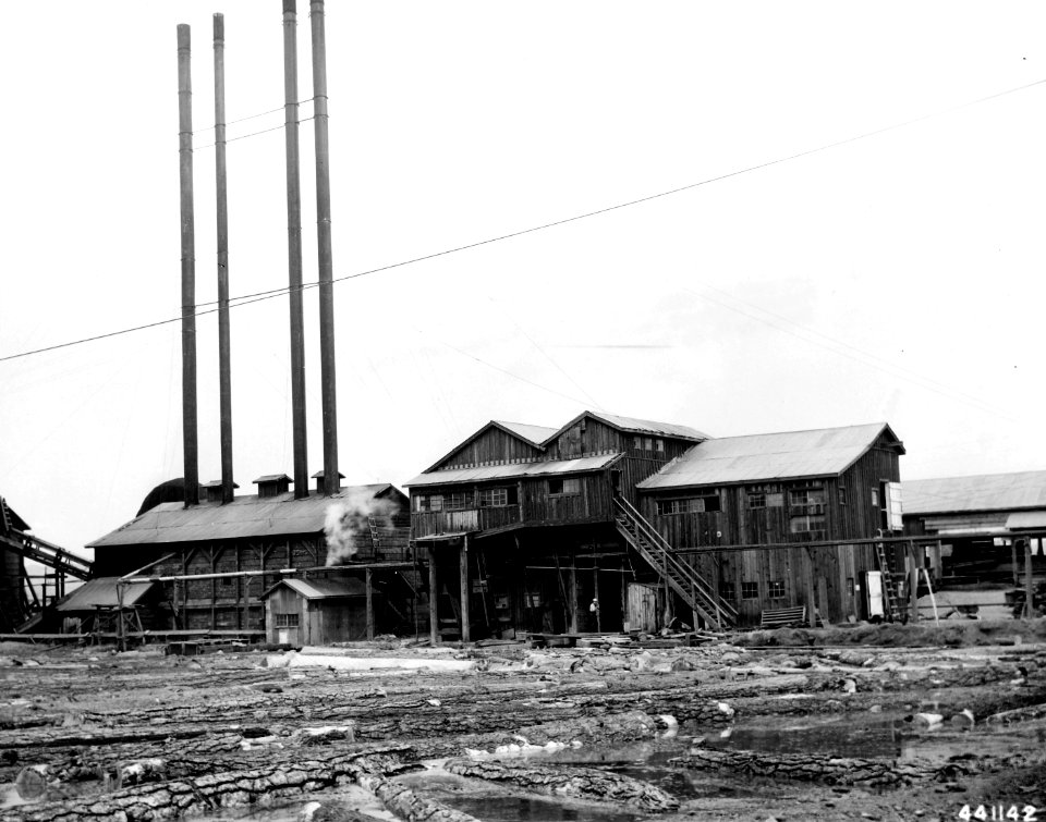 441142 Saw Mill & Log Pond, Lakeview, Fremont NF OR 1946