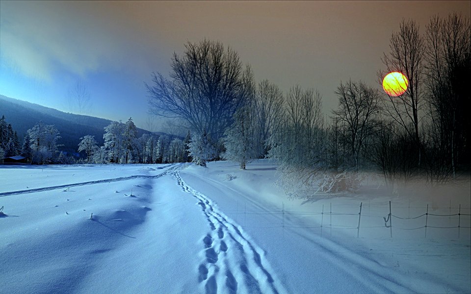 le impronte nella neve