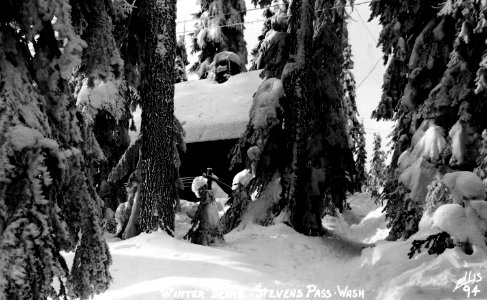 94 Winter Scene, Stevens Pass, Wash - Ellis photo