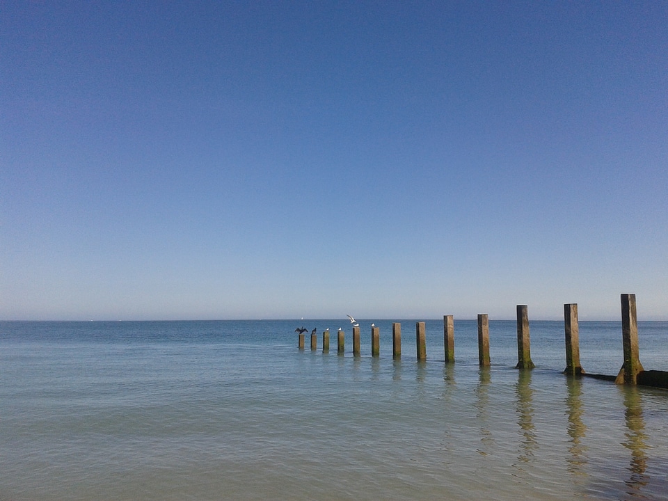 Beach cormorant holiday