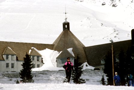Alpine downhill skiing Mt Hood National Forest.jpg