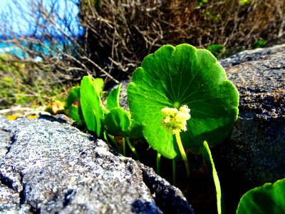 Between the rocks photo