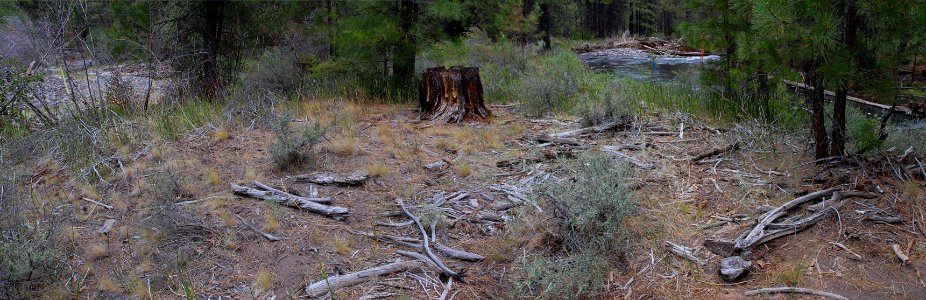 Deschutes National Forest, Whychus Creek restoration PP 22AB panorama before-2.jpg photo