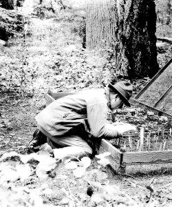 215641 Richard McArdle Examining PNW Test Area 1926