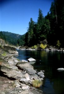 Quiet along the Rogue River, Rogue River-Siskiyou National Forest.jpg