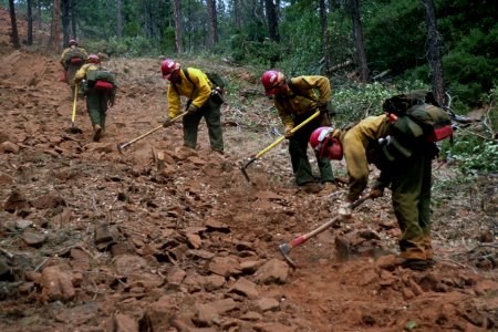 260 Rogue River Siskiyou National Forest, Biscuit Fire
