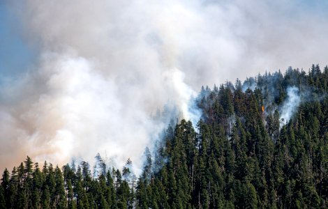 Beachie Creek Fire Smoky Hillside Willamette National Forest