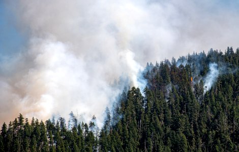 Beachie Creek Fire Smoky Hillside Willamette National Forest photo