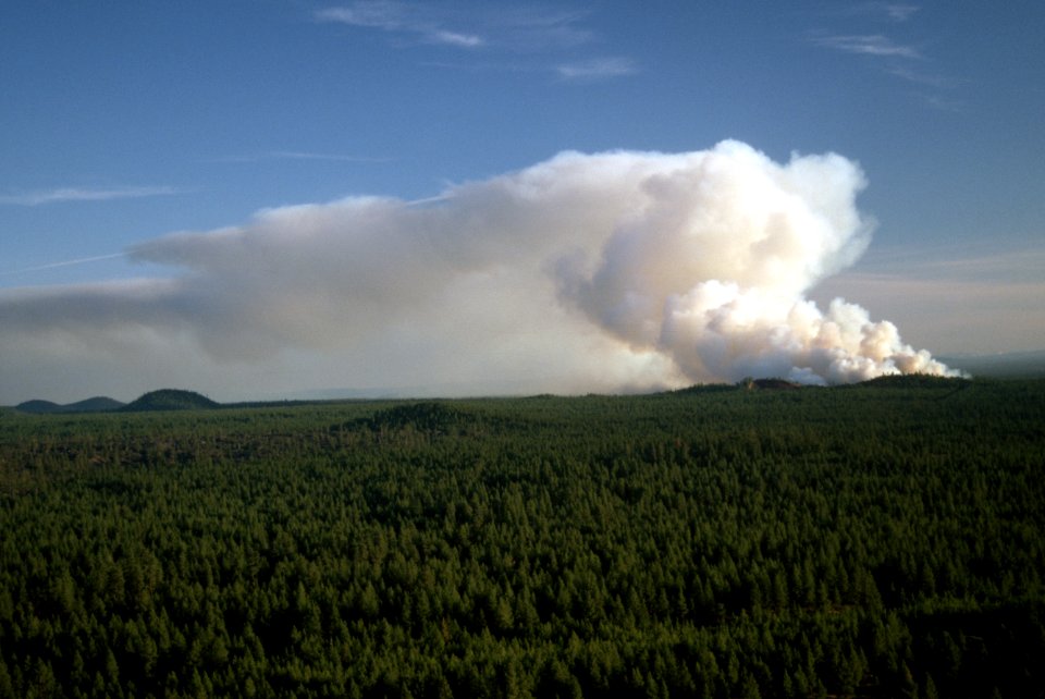 500 Smoke column prescribed fire, Deschutes National Forest