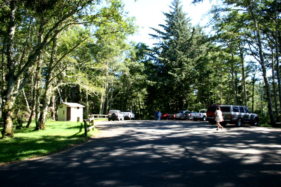 Parking Lot at Cape Perpetua, Siuslaw National Forest