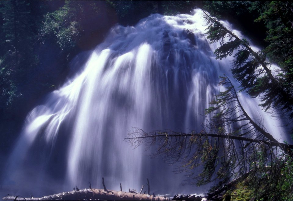 Deschutes National Forest Whychus Falls  .jpg