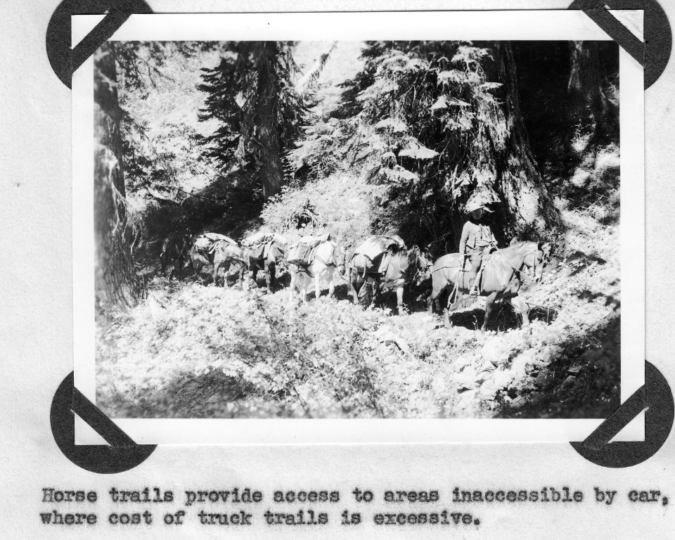 Horse Trail with Pack String