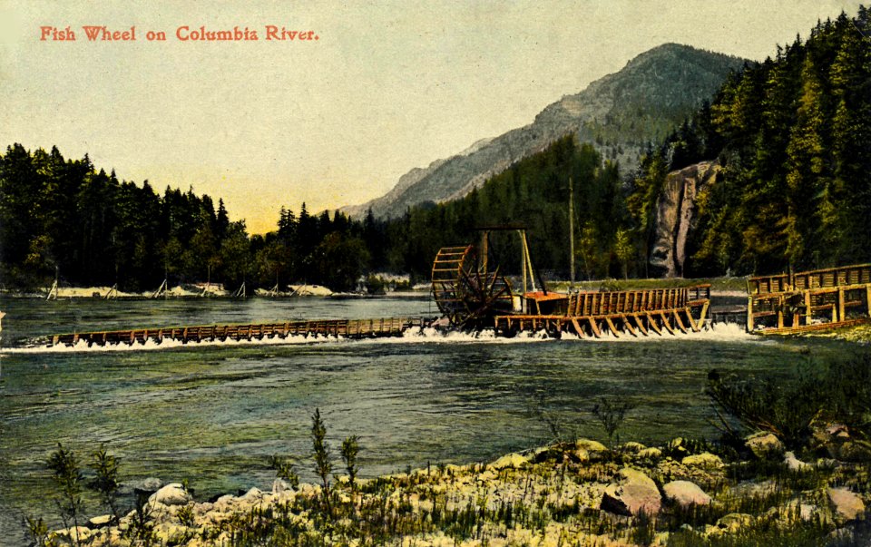 Fish Wheel, Columbia River (3)