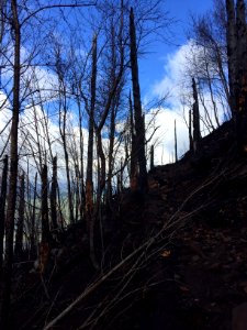 Angels Rest Trail badly burned, photo taken US Forest Service early October 2017.