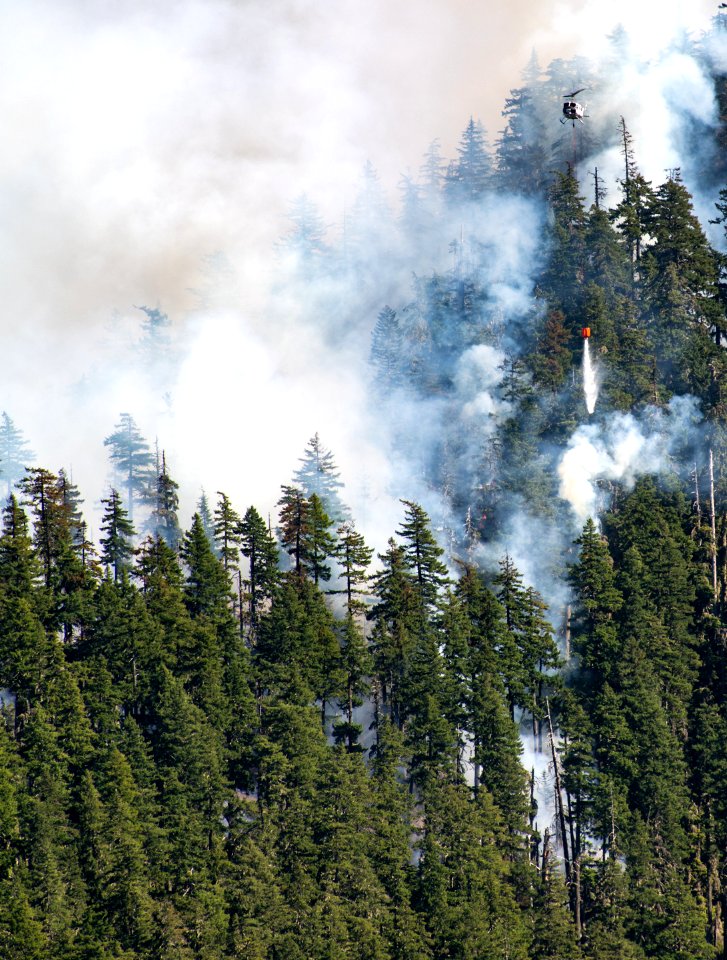 Beachie Creek Fire Smoky Hillside Willamette National Forest
