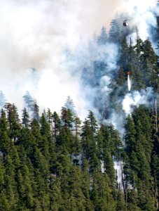 Beachie Creek Fire Smoky Hillside Willamette National Forest photo