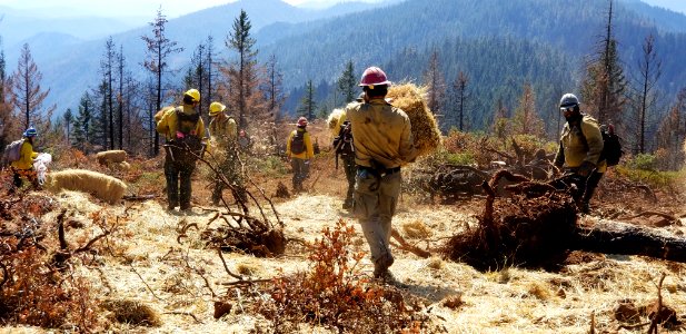Straw and Seed Repair, Klondike Fire
