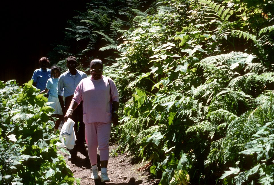 Forest visitors walking trail Multnomah Falls Columbia River Gorge NSA.jpg