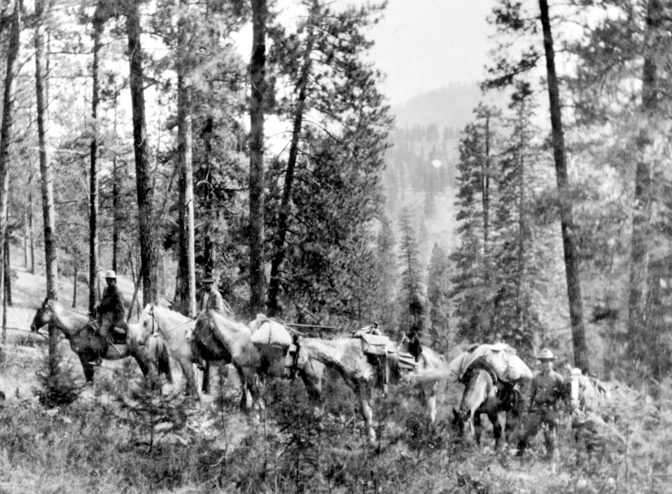 Boundary Crew and Rangers, Okanogan NF, WA 1909