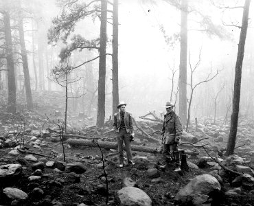 Smokey was Found Here, Lincoln NF NM 1950b photo