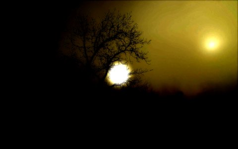 moonlight