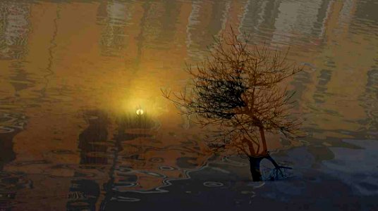 riflessi d'oro puro
