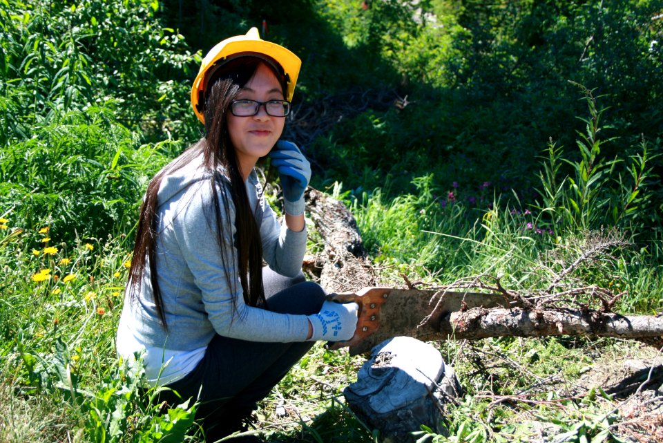 Girl using Crosscut Saw, Mt Baker Snoqualmie National Forest