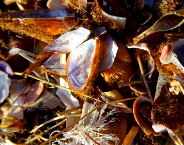 On the shore photo