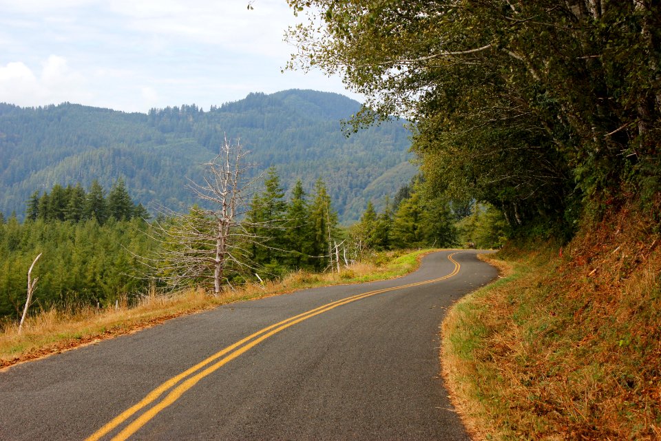 Mount Hebo Road on the Siuslaw National Forest
