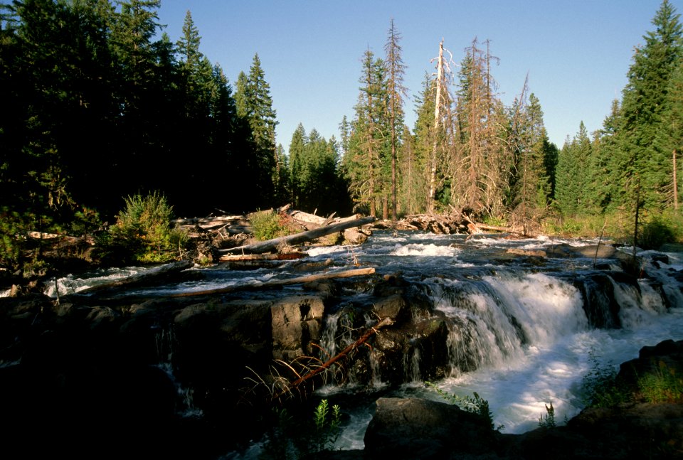 Waterfall and Logs, Rogue River-Siskiyou National Forest.jpg