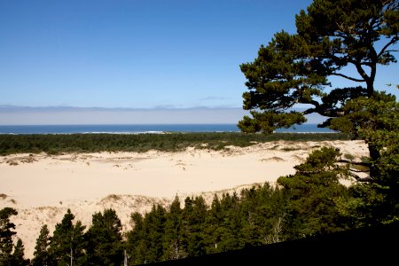 View of Oregon Dunes from Day Use Viewpoint, Siuslaw National Forest photo