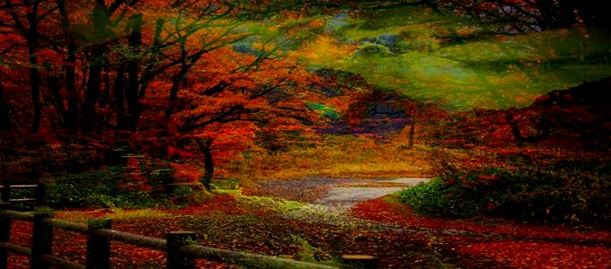 il paesaggio dei miei sogni