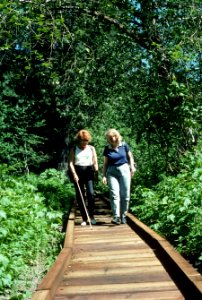 Women using Accessible Boardwalk, Mt Hood National Forest