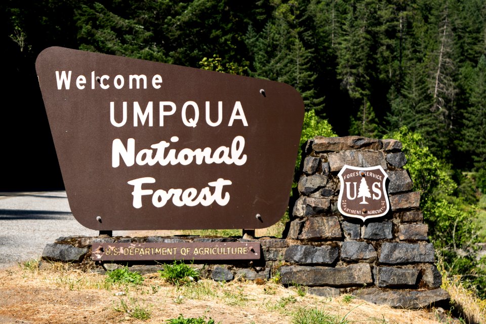 Welcome to Umpqua National Forest and the wild and scenic north Umpqua River