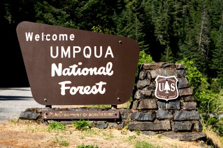 Welcome to Umpqua National Forest and the wild and scenic north Umpqua River