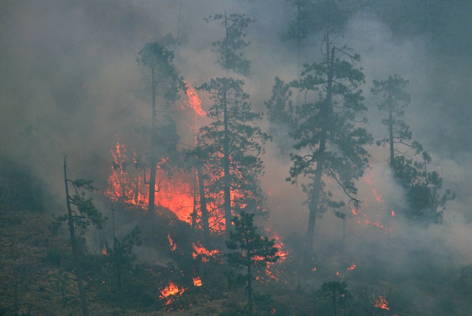 118 Rogue River-Siskiyou National Forest Biscuit Fire