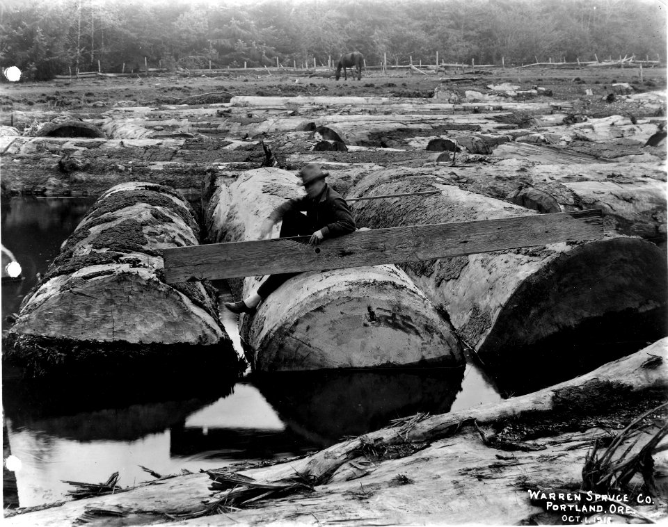 208 Spruce Logs in Log Pond