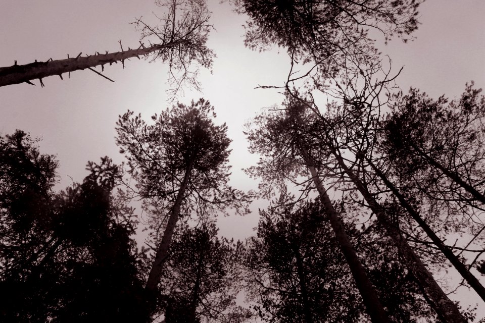 shades of October
