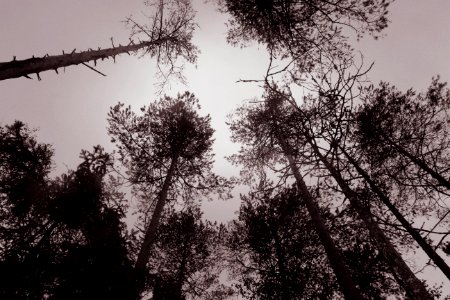 shades of October
