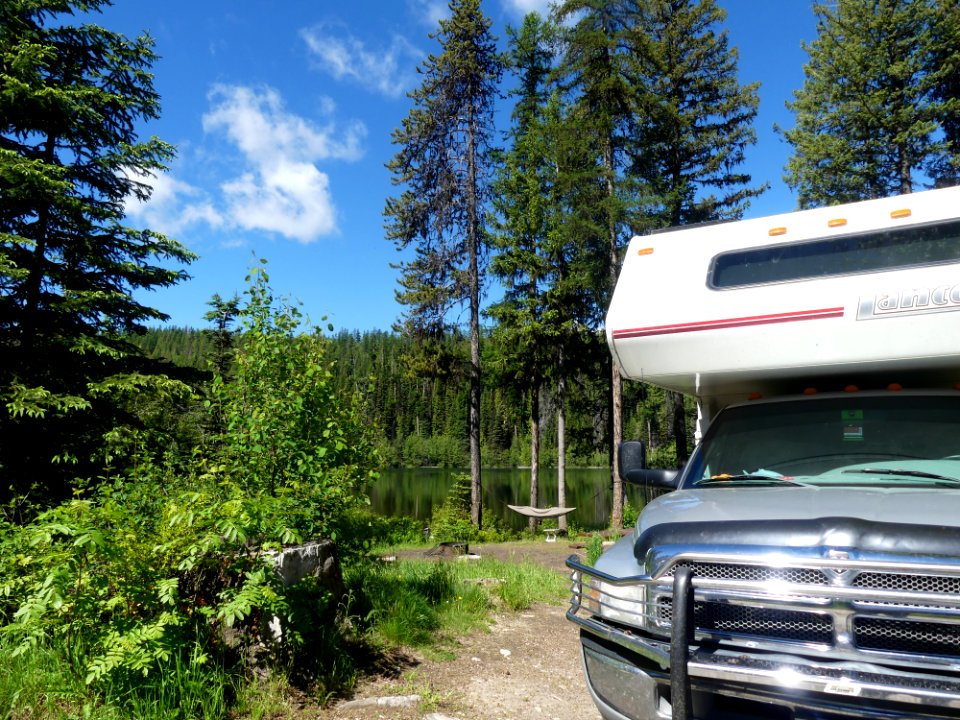 Colville NF Davis Lake June 2020 by Sharleen Puckett 9