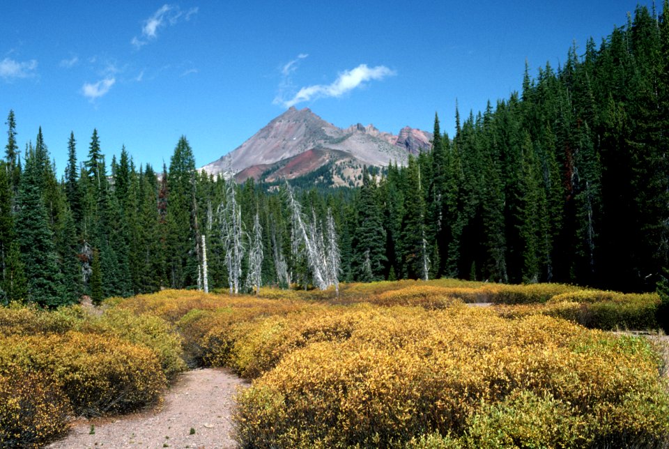 Broken Top, Deschutes National Forest-2.jpg